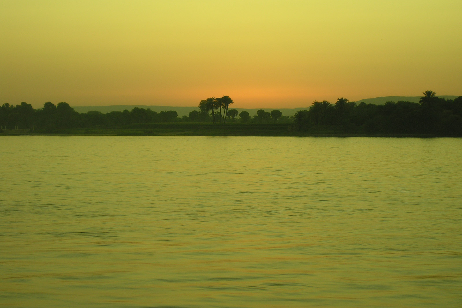 Bank of the Nile from the boat. Photography: Antonino Cardillo, 2005